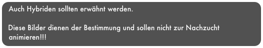 Auch Hybriden sollten erwähnt werden.

  Diese Bilder dienen der Bestimmung und sollen nicht zur Nachzucht
  animieren!!!