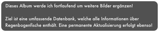 Dieses Album werde ich fortlaufend um weitere Bilder ergänzen!

  Ziel ist eine umfassende Datenbank, welche alle Informationen über   
  Regenbogenfische enthält. Eine permanente Aktualisierung erfolgt ebenso!