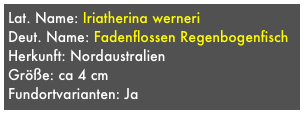 Lat. Name: Iriatherina werneri
Deut. Name: Fadenflossen Regenbogenfisch
Herkunft: Nordaustralien
Größe: ca 4 cm
Fundortvarianten: Ja
