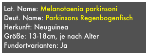 Lat. Name: Melanotaenia parkinsoni
Deut. Name: Parkinsons Regenbogenfisch
Herkunft: Neuguinea
Größe: 13-18cm, je nach Alter
Fundortvarianten: Ja
