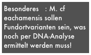 Besonderes   : M. cf eachamensis sollen Fundortvarianten sein, was  noch per DNA-Analyse ermittelt werden muss!
