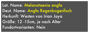 Lat. Name: Melanotaenia angfa 
Deut. Name: Angfa Regenbogenfisch
Herkunft: Westen von Irian Jaya
Größe: 12 -15cm, je nach Alter
Fundortvarianten: Nein
