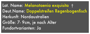 Lat. Name: Melanotaenia exquisita  †
Deut.Name: Doppelstreifen Regenbogenfisch
Herkunft: Nordaustralien 
Größe: 7- 9cm, je nach Alter
Fundortvarianten: Ja
