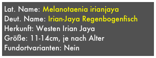 Lat. Name: Melanotaenia irianjaya
Deut. Name: Irian-Jaya Regenbogenfisch
Herkunft: Westen Irian Jaya
Größe: 11-14cm, je nach Alter
Fundortvarianten: Nein
